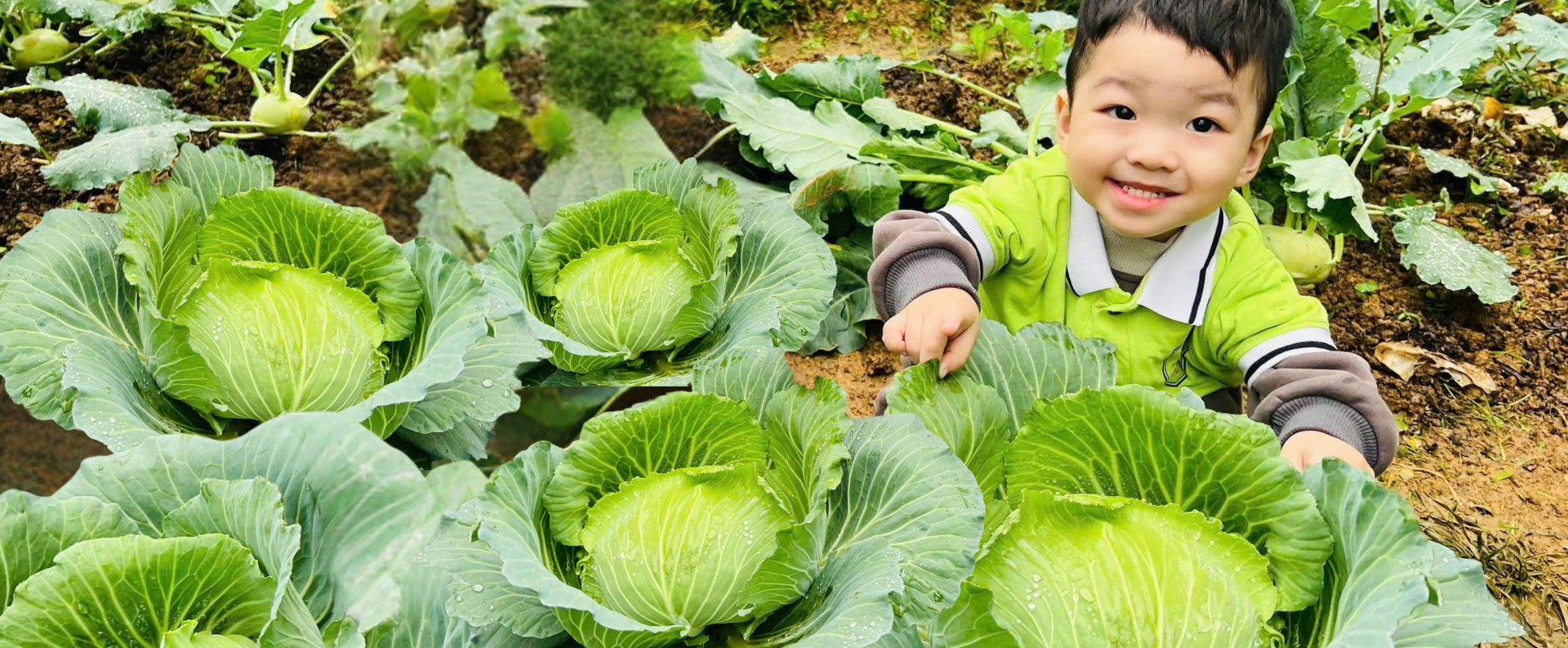 Hệ thống giáo dục Thông minh và<br>Hạnh phúc<br>Hotline: 0333.162.388